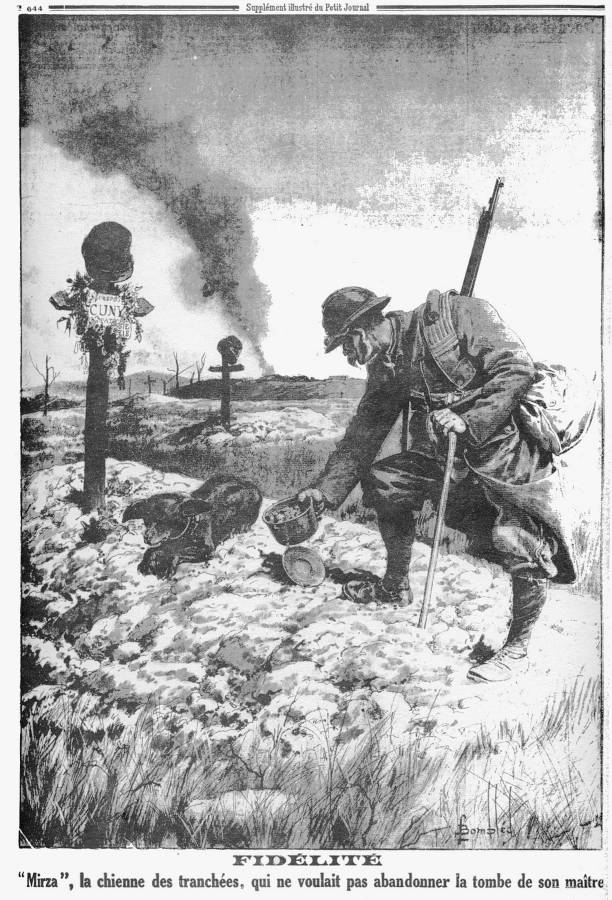 1916 non datee Fidelite Mirza la chienne des tranchees le Petit Journal.jpg